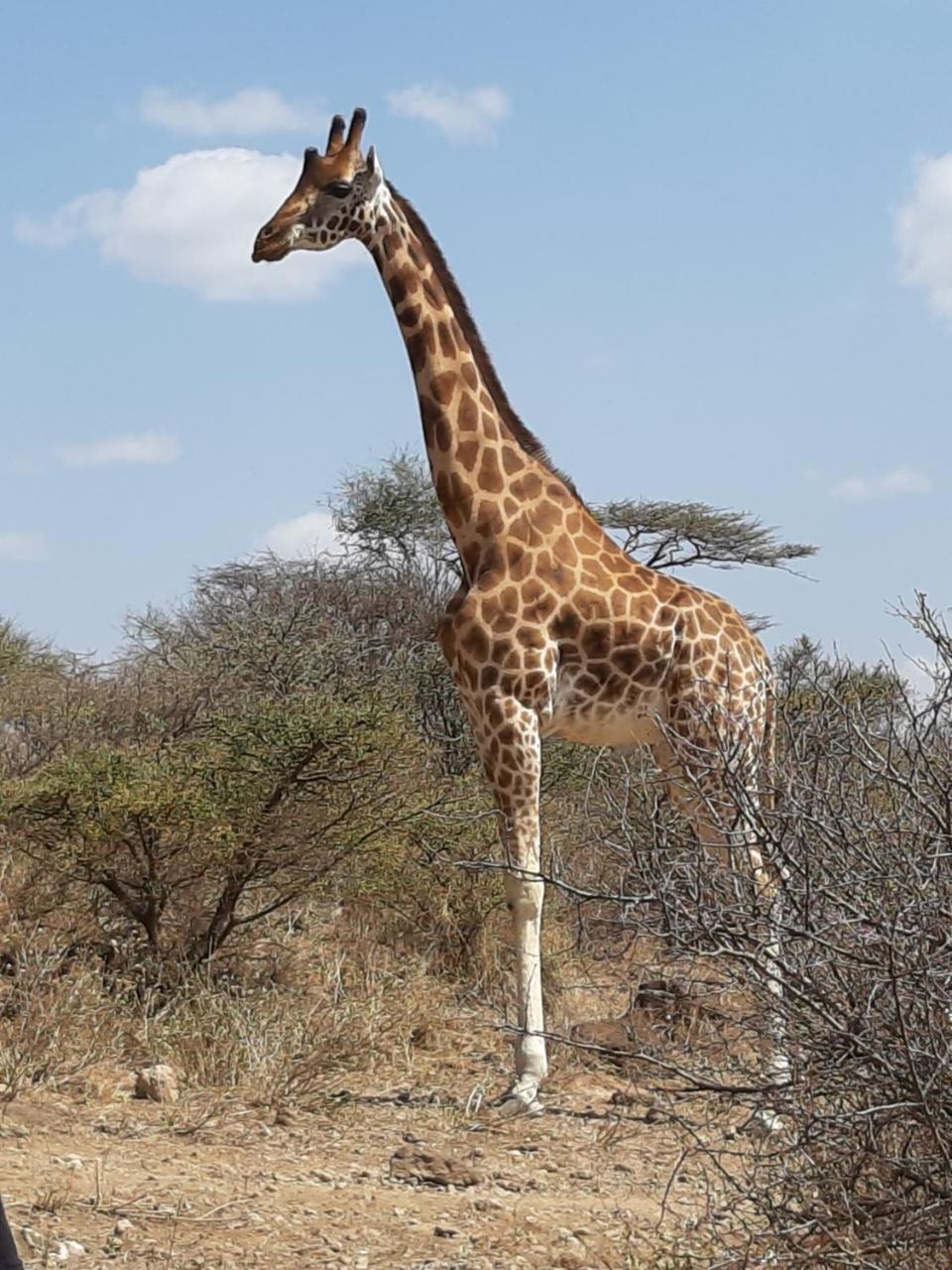 Sandai Resort Lake Baringo Ol Kokwe Екстер'єр фото